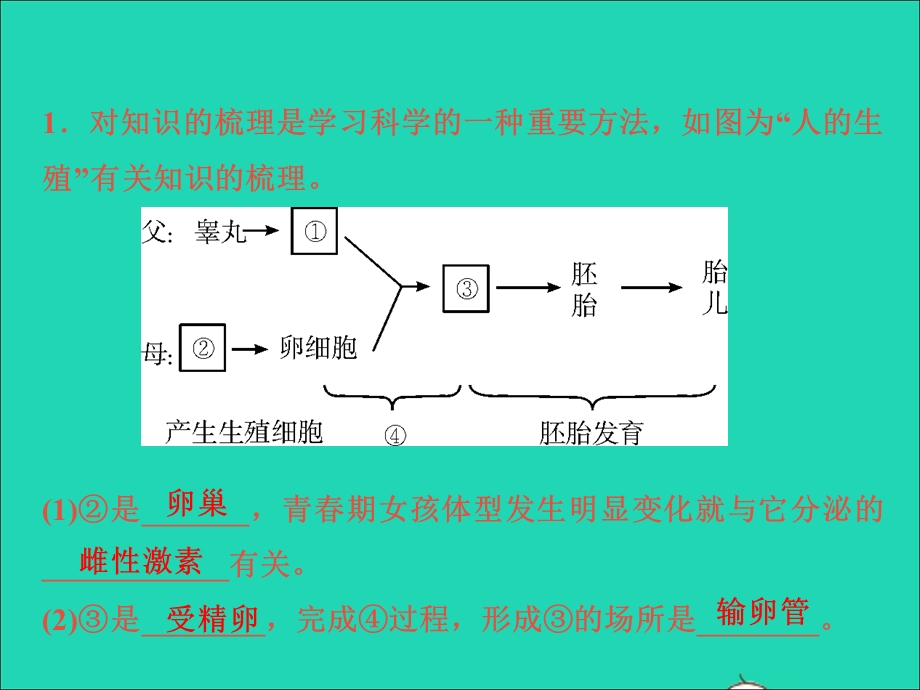 2022七年级科学下册 阶段小卷（十一）易错填空题特训习题课件 （新版）浙教版.ppt_第2页