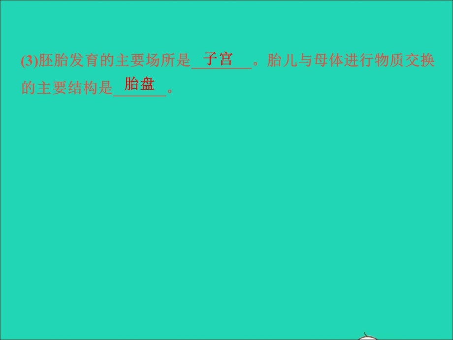 2022七年级科学下册 阶段小卷（十一）易错填空题特训习题课件 （新版）浙教版.ppt_第3页