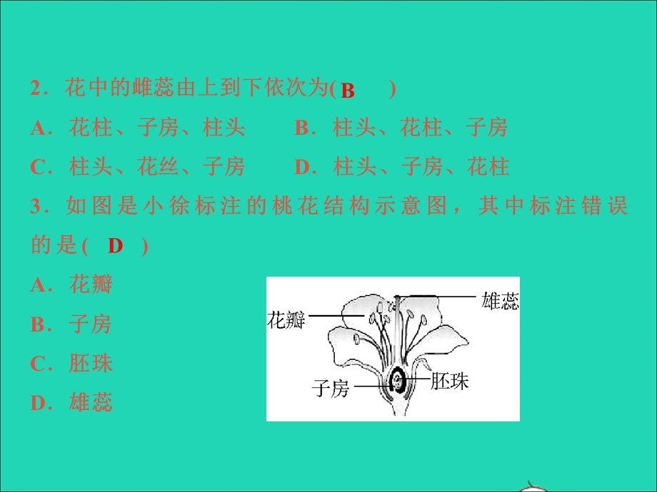 2022七年级科学下册 阶段小卷（二）第1章 代代相传的生命(1.ppt_第3页