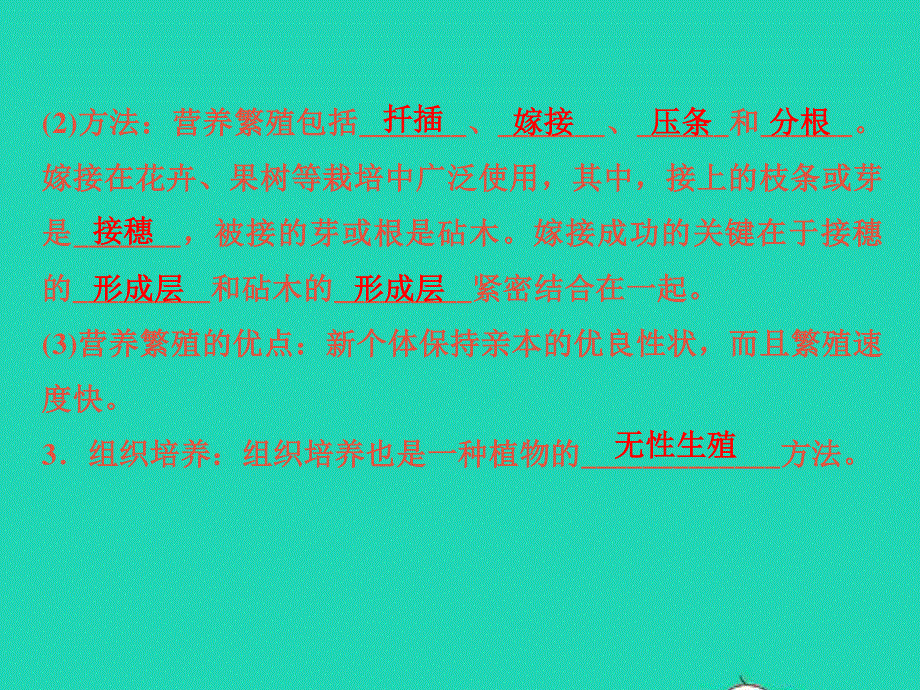 2022七年级科学下册 第1章 代代相传的生命1.ppt_第3页