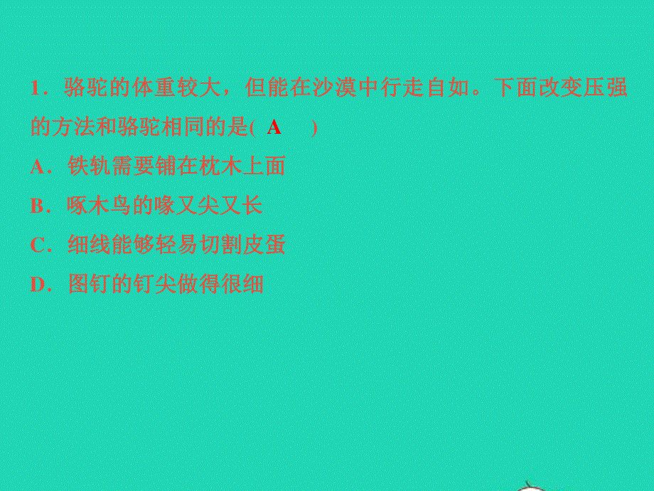 2022七年级科学下册 阶段小卷（七）第3章 运动和力(3.ppt_第2页