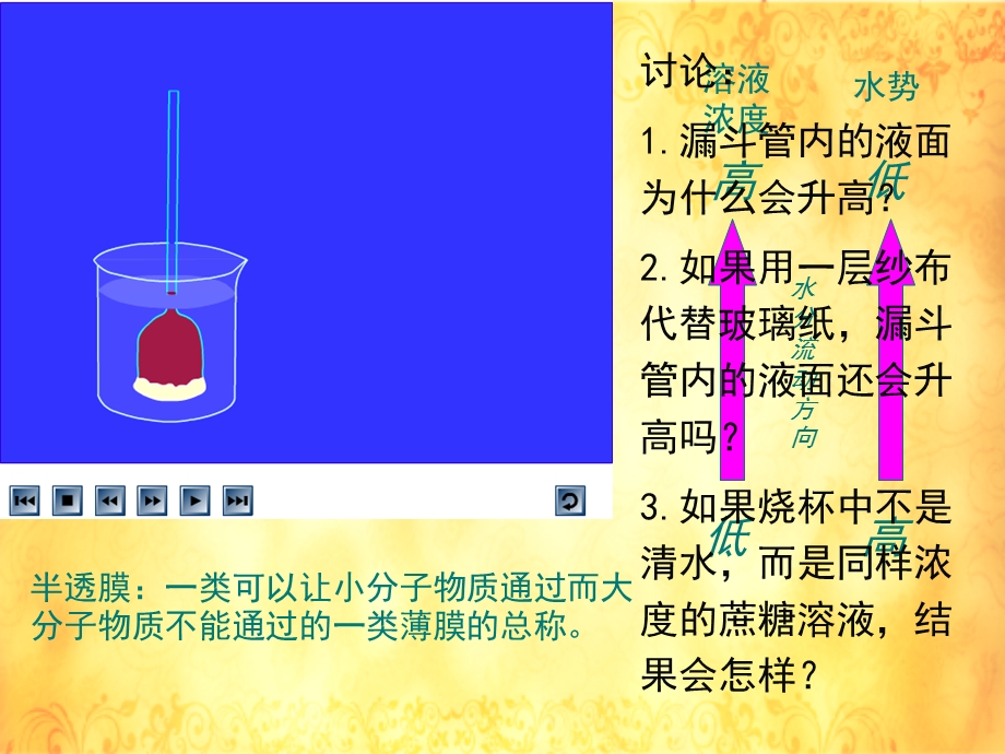 2015-2016学年人教版生物必修一课件：4.1 物质跨膜运输的实例（共15张PPT） .ppt_第3页