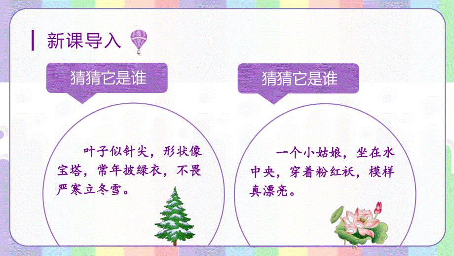 习作一我的植物朋友上课课件.pptx_第3页