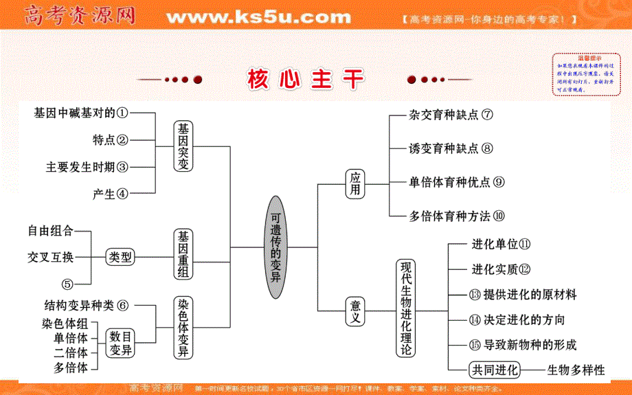 2018届高三生物二轮复习课件：2-8专题8遗传变异、育种与进化 .ppt_第3页