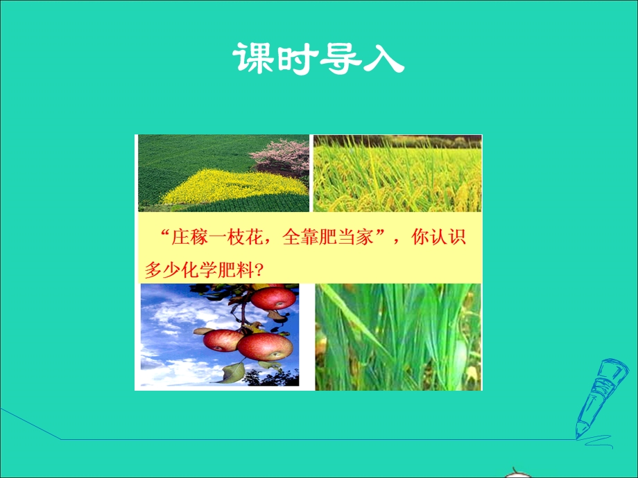 2022九年级化学下册 第8章 常见的酸、碱、盐8.5 化学肥料授课课件（新版）粤教版.ppt_第3页