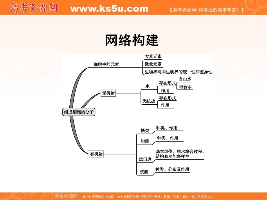 2015-2016学年人教版高中生物必修1同步精讲课件：第2章 组成细胞的分子 章末整合.ppt_第3页