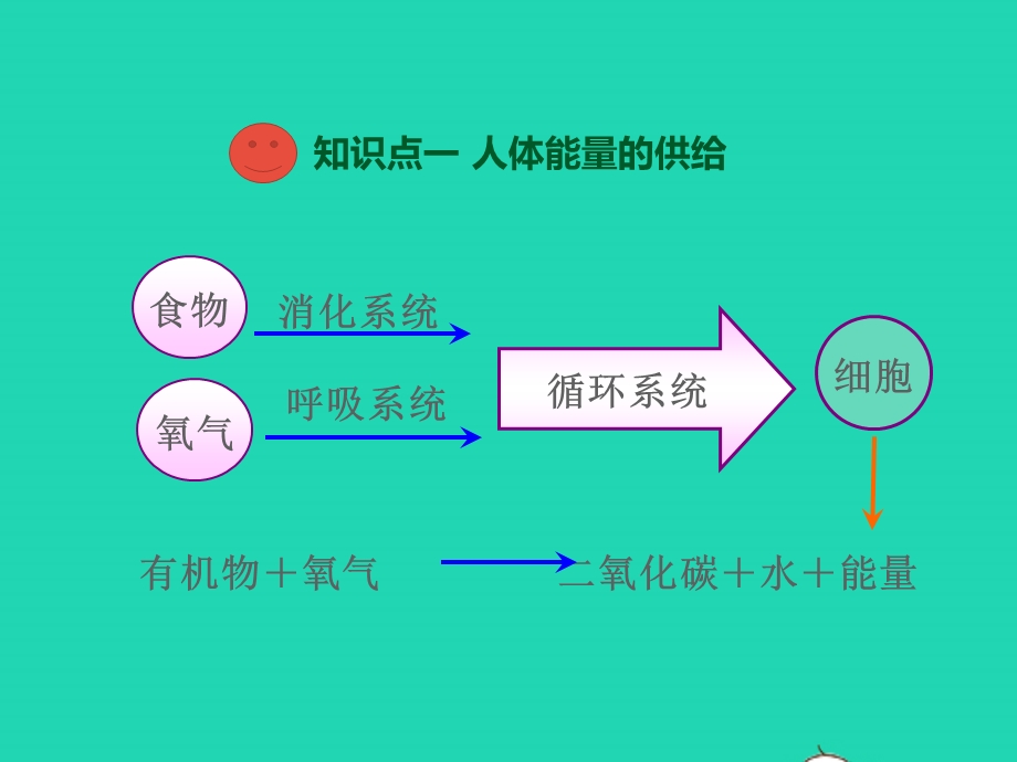 七年级生物下册 第4单元 生物圈中的人 第十章 人体内的物质运输和能量供给 第五节 人体能量的供给教学课件 （新版）苏教版.pptx_第3页