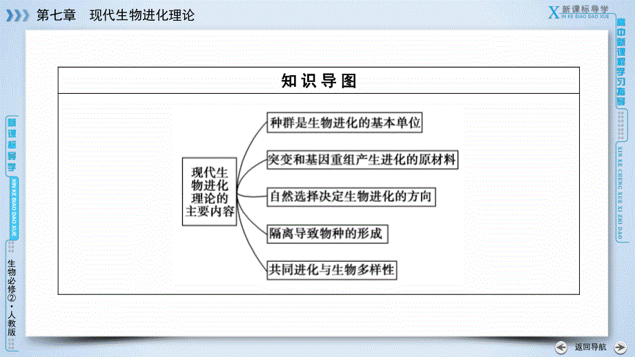 2019-2020学人教版生物必修二导学同步课件：第7章 第2节　现代生物进化理论的主要内容 .ppt_第3页