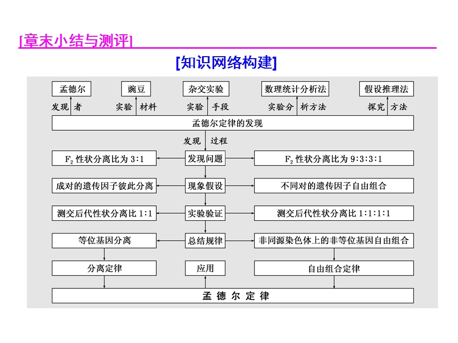 2019新设计生物同步浙江专版必修二课件：第一章 章末小结与测评 .ppt_第1页