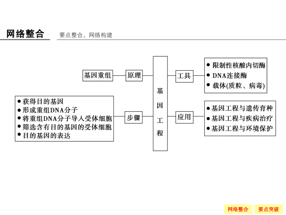 -学业水平考试2016-2017高中生物（浙江专用浙科版）课件：阶段复习课3 .ppt_第2页