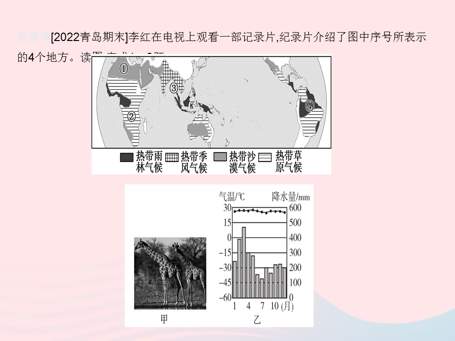 2023七年级地理上册 第三章 天气与气候专项(二)世界气候类型的判读作业课件 （新版）新人教版.pptx_第3页