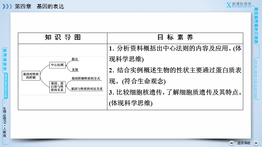 2019-2020学人教版生物必修二导学同步课件：第4章 第2节　基因对性状的控制 .ppt_第3页