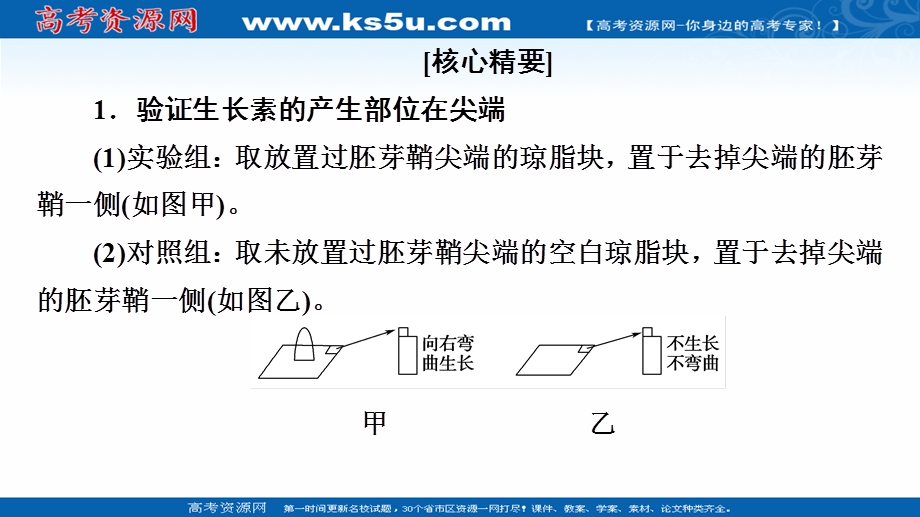 2021-2022同步新教材苏教版生物选择性必修1课件：第4章 第2节 素能提升课　与生长素有关的实验设计和分析 .ppt_第2页