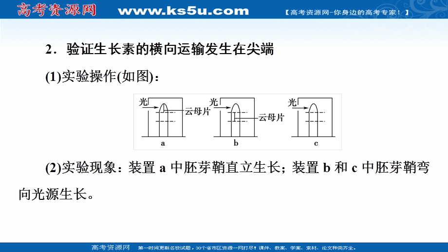 2021-2022同步新教材苏教版生物选择性必修1课件：第4章 第2节 素能提升课　与生长素有关的实验设计和分析 .ppt_第3页