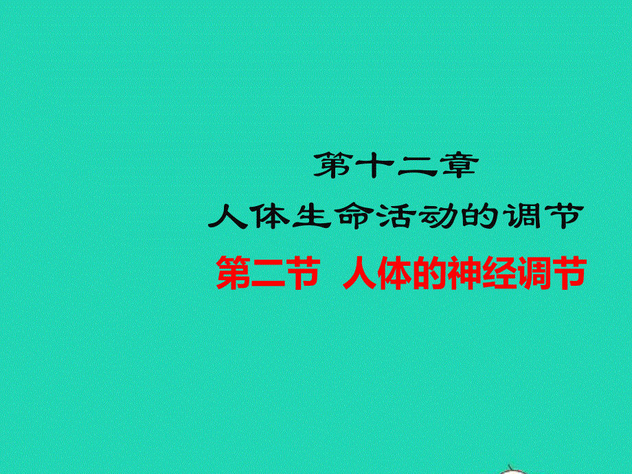 七年级生物下册 第4单元 生物圈中的人 第十二章 人体生命活动的调节 第二节 人体的神经调节教学课件 （新版）苏教版.pptx_第1页