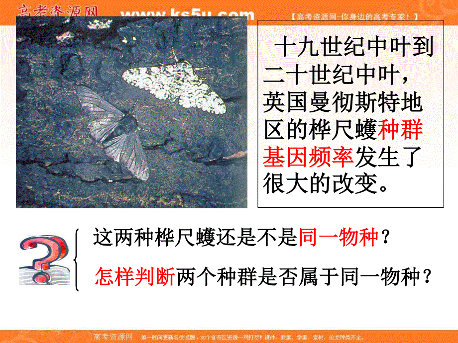 2016-2017学年人教版高一生物必修二课件设计第7章第2节现代生物进化理论的主要内容2 .ppt_第2页