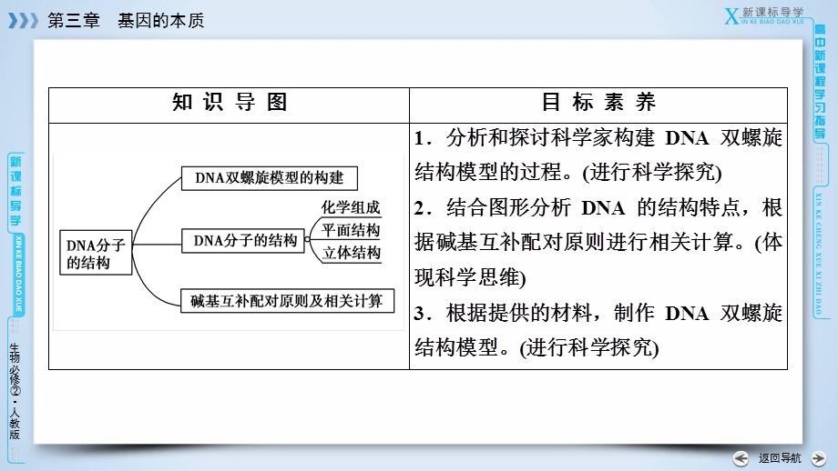 2019-2020学人教版生物必修二导学同步课件：第3章 第2节　DNA的分子结构 .ppt_第3页