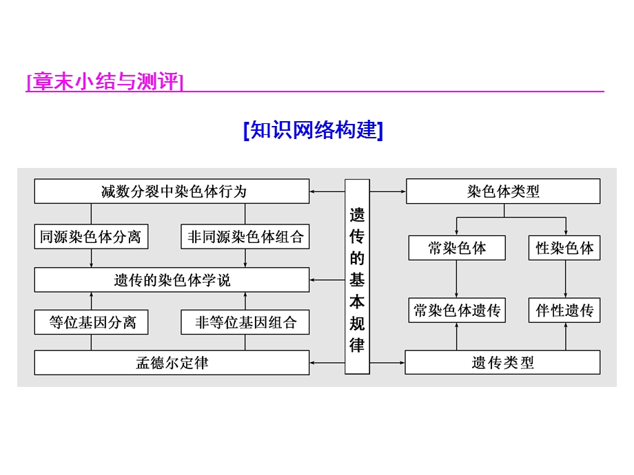 2019新设计生物同步浙江专版必修二课件：第二章 章末小结与测评 .ppt_第1页