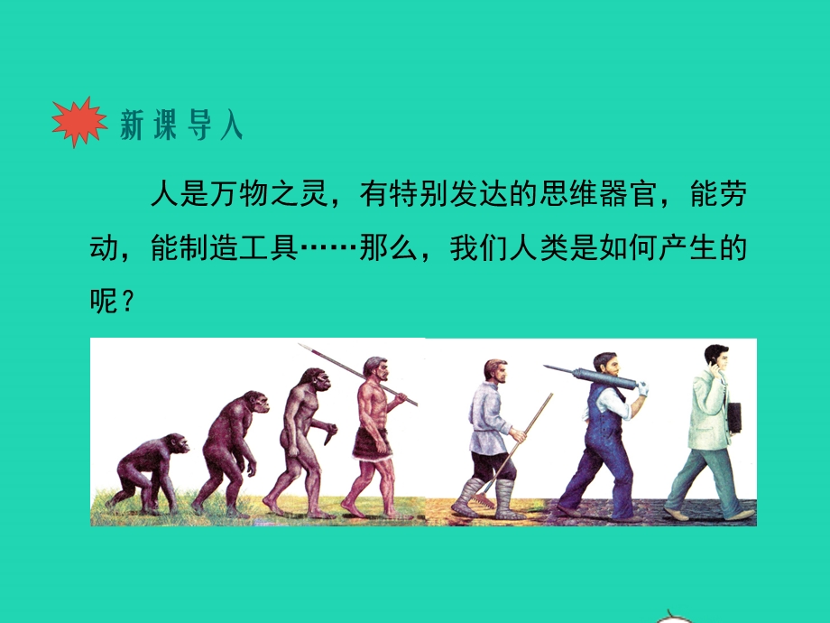 七年级生物下册 第四单元 生物圈中的人 第一章 人的由来 第一节 人类的起源和发展教学课件 （新版）新人教版.pptx_第2页