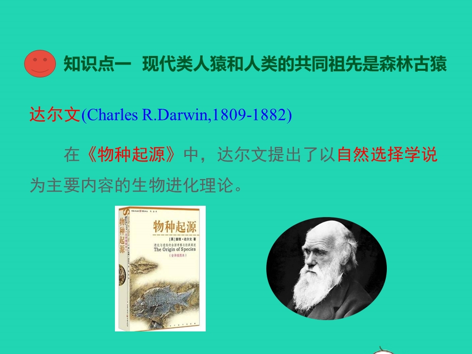 七年级生物下册 第四单元 生物圈中的人 第一章 人的由来 第一节 人类的起源和发展教学课件 （新版）新人教版.pptx_第3页