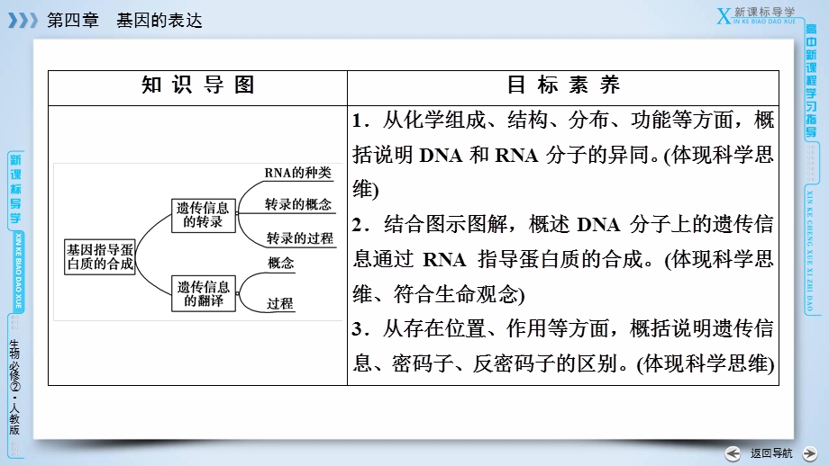 2019-2020学人教版生物必修二导学同步课件：第4章 第1节　基因指导蛋白质的合成 .ppt_第3页