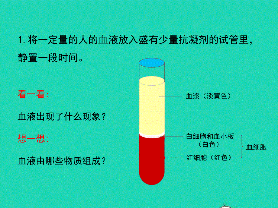 七年级生物下册 第四单元 生物圈中的人 第四章 人体内物质的运输 第一节 流动的组织——血液教学课件 （新版）新人教版.pptx_第3页