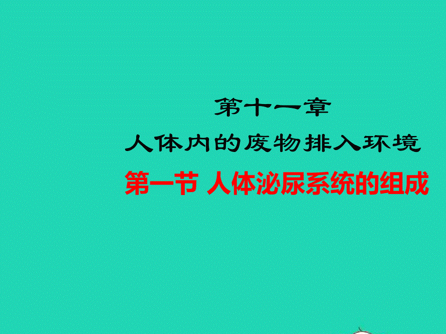 七年级生物下册 第4单元 生物圈中的人 第十一章 人体内的废物排入环境 第一节 人体泌尿系统的组成教学课件 （新版）苏教版.pptx_第1页