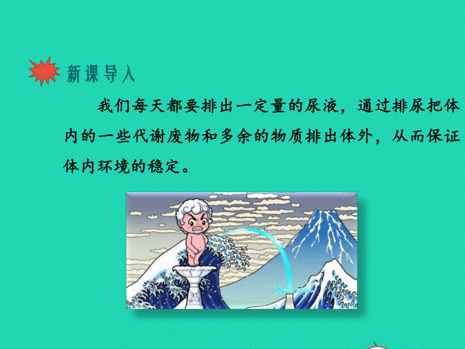 七年级生物下册 第4单元 生物圈中的人 第十一章 人体内的废物排入环境 第一节 人体泌尿系统的组成教学课件 （新版）苏教版.pptx_第2页