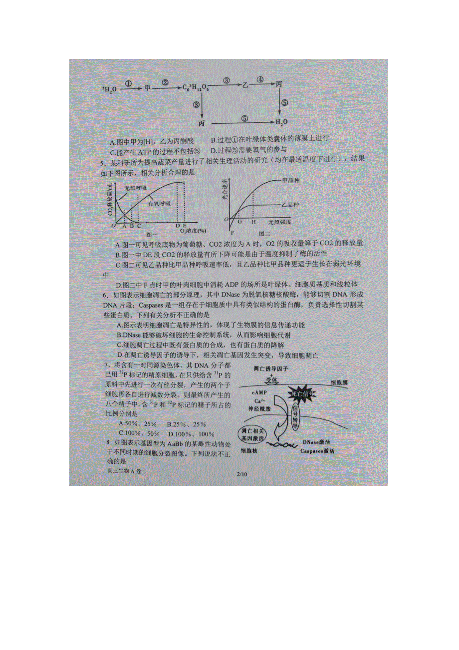 河南省南阳市第一中学2018届高三上学期第四次考试生物试题 扫描版含答案.doc_第2页