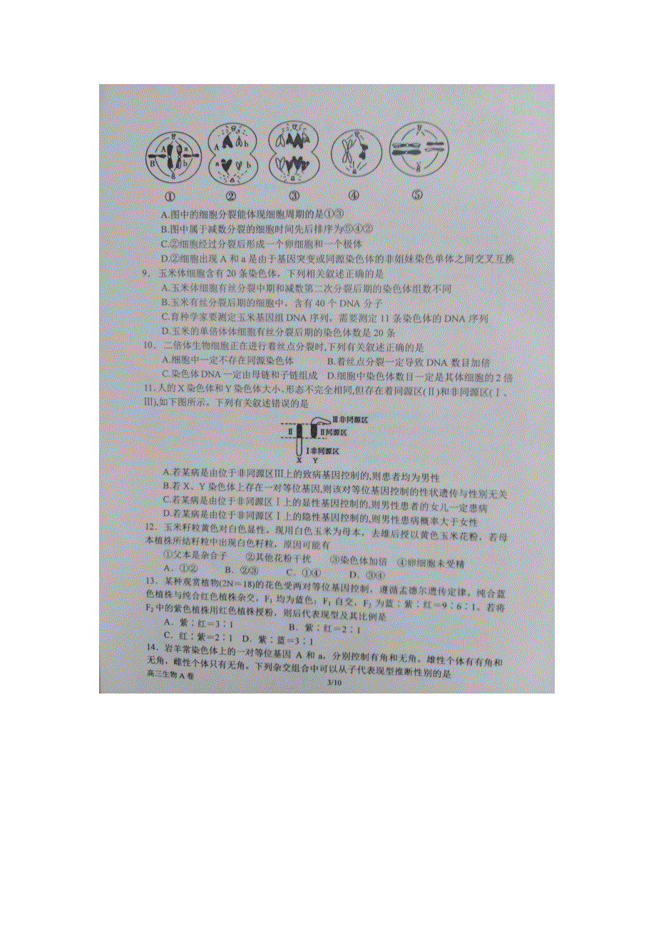 河南省南阳市第一中学2018届高三上学期第四次考试生物试题 扫描版含答案.doc_第3页