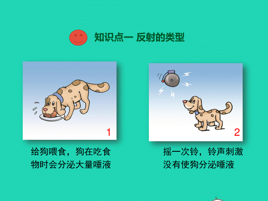 七年级生物下册 第四单元 生物圈中的人 第12章 人体的自我调节 第1节 神经系统与神经调节第2课时 反射的类型教学课件 （新版）北师大版.ppt_第3页