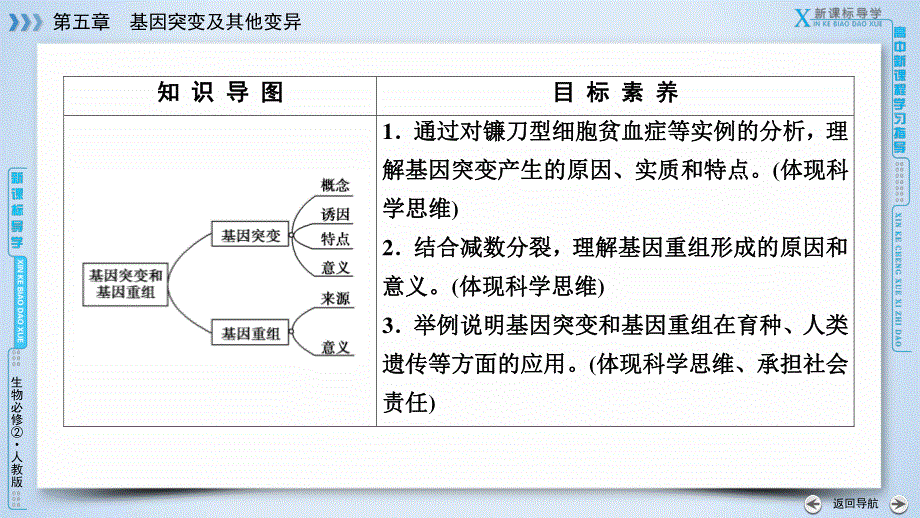 2019-2020学人教版生物必修二导学同步课件：第5章 第1节　基因突变和基因重组 .ppt_第3页