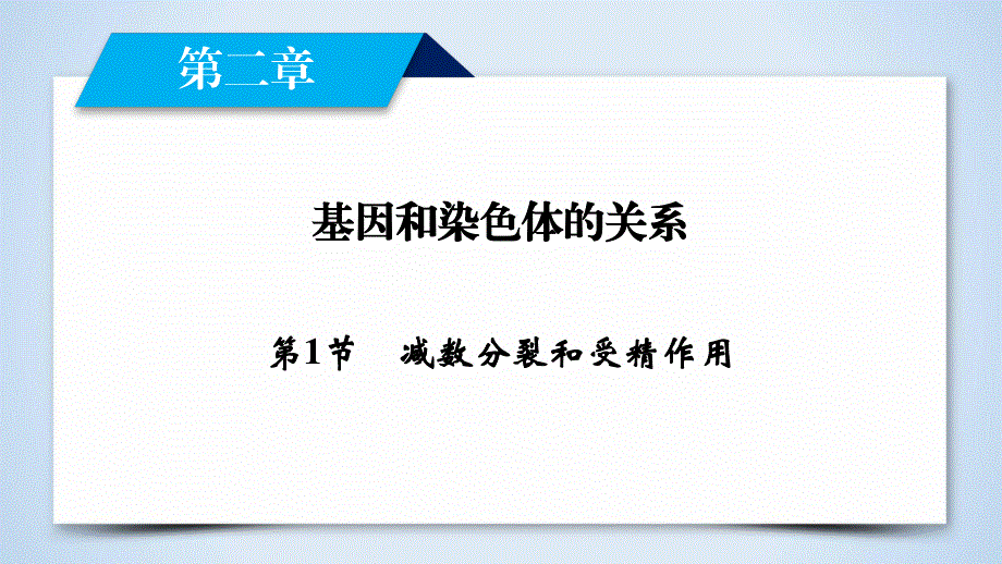 2019-2020学人教版生物必修二导学同步课件：第2章 第1节　减数分裂和受精作用 .ppt_第2页