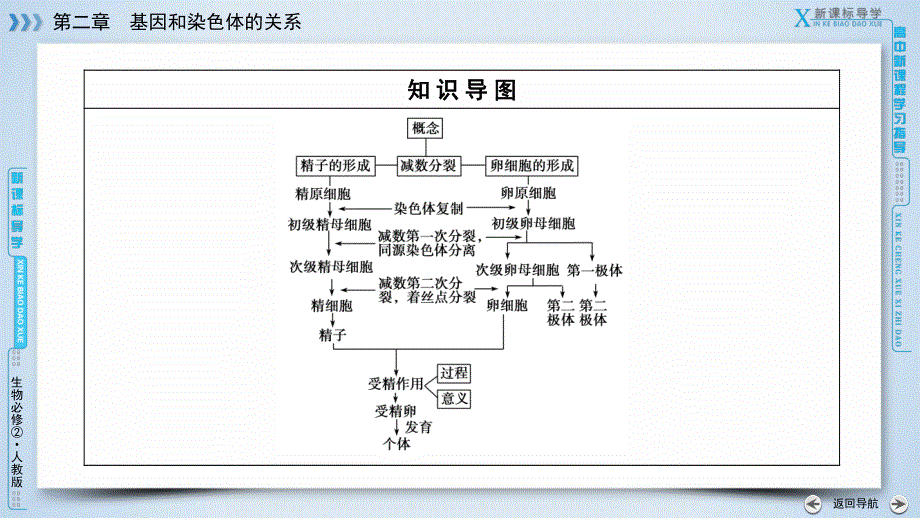 2019-2020学人教版生物必修二导学同步课件：第2章 第1节　减数分裂和受精作用 .ppt_第3页