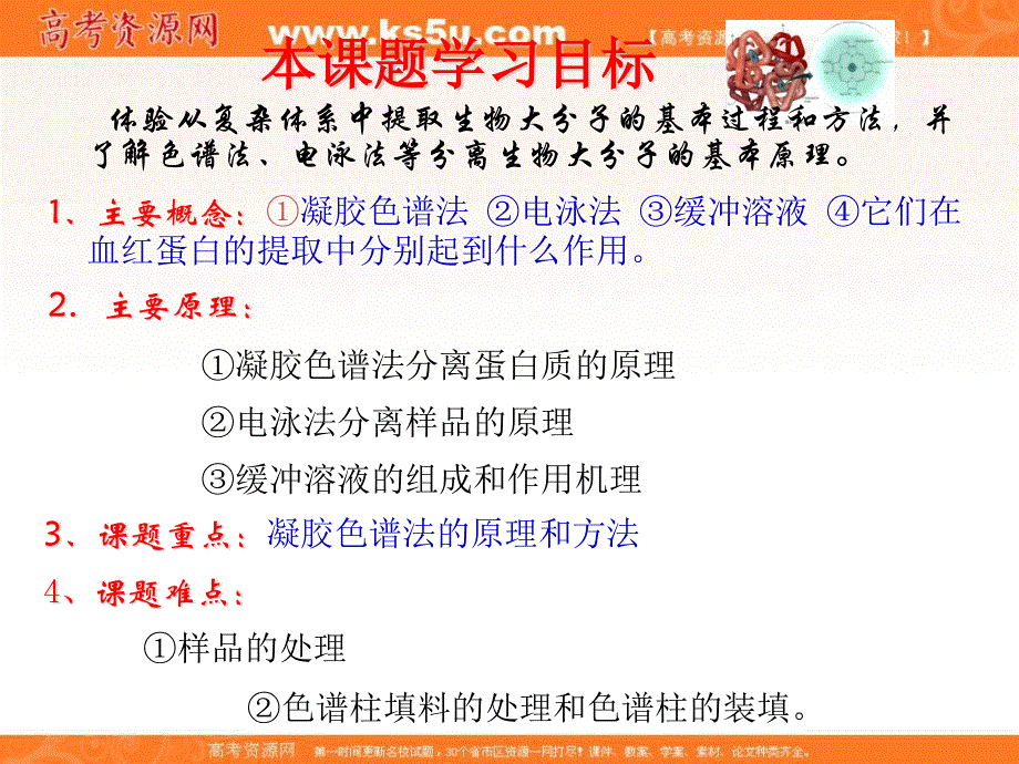 2017人教版高中生物选修一5-3《 血红蛋白的提取和分离》课件7 （共36张PPT） .ppt_第2页