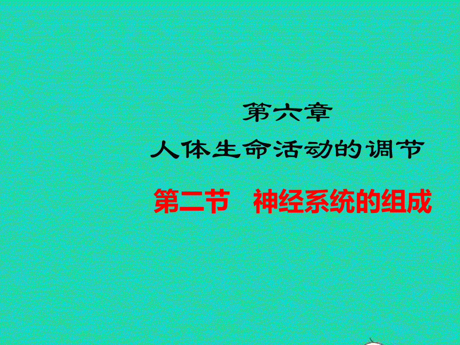 七年级生物下册 第四单元 生物圈中的人 第六章 人体生命活动的调节 第二节 神经系统的组成教学课件 （新版）新人教版.ppt_第1页