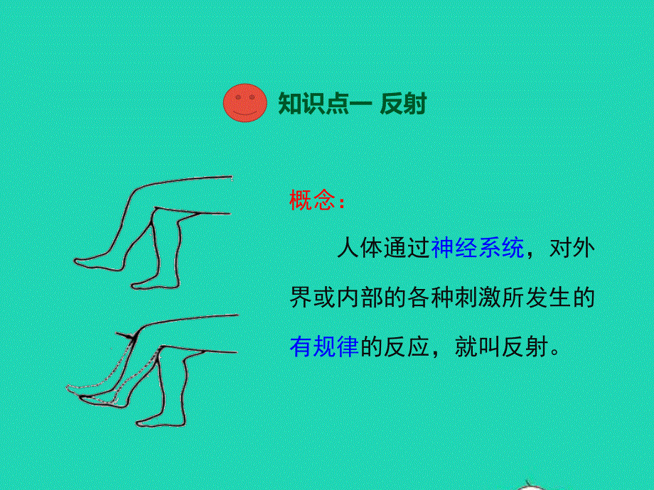 七年级生物下册 第四单元 生物圈中的人 第六章 人体生命活动的调节 第三节 神经调节的基本方式教学课件 （新版）新人教版.ppt_第3页