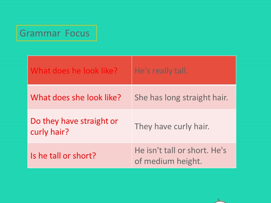 七年级英语下册 Unit 9 What does he look like Section A (Grammar Focus-3c)教学课件（新版）人教新目标版.pptx_第2页