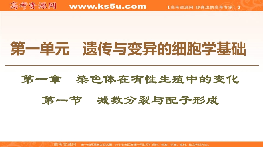 2019-2020学年中图版生物必修二课件：第1单元 第1章 第1节　减数分裂与配子形成 .ppt_第1页