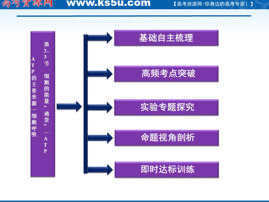 2012优化方案高三生物一轮复习课件：必修1第5章第2、3节细胞的能量“通货”——ATP ATP的主要来源——细胞呼吸.ppt_第2页