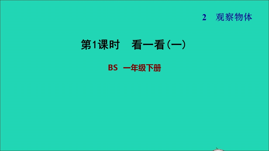 2022一年级数学下册 第2单元 观察物体第1课时 看一看(一)习题课件 北师大版.ppt_第1页