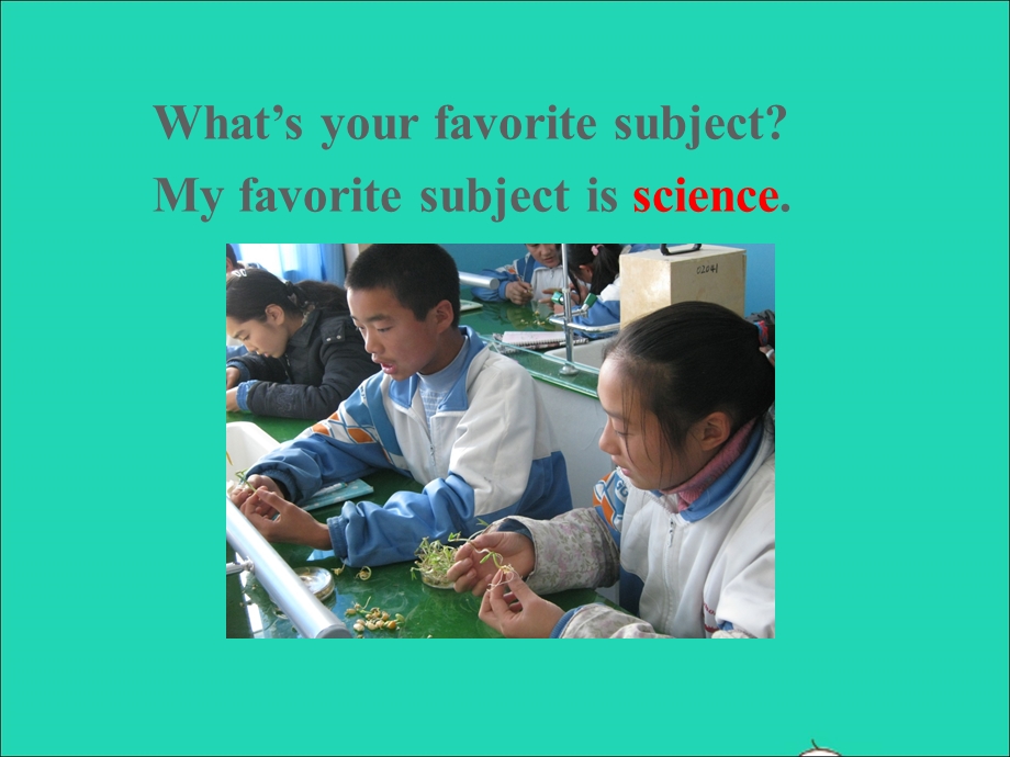 七年级英语上册 Unit 9 My favorite subject is science Section A (Grammar Focus-3c)课件（新版）人教新目标版.ppt_第2页