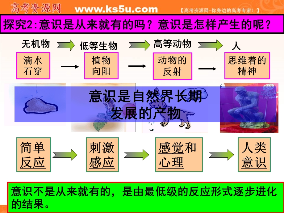 2016-2017学年人教版高中政治必修四5-1意识的本质 课件（共34张PPT） .ppt_第3页