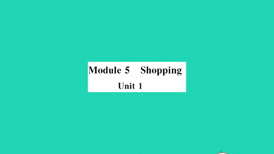 七年级英语下册 Module 5 Shopping Unit 1 What can I do for you（小册子）作业课件（新版）外研版.pptx_第1页