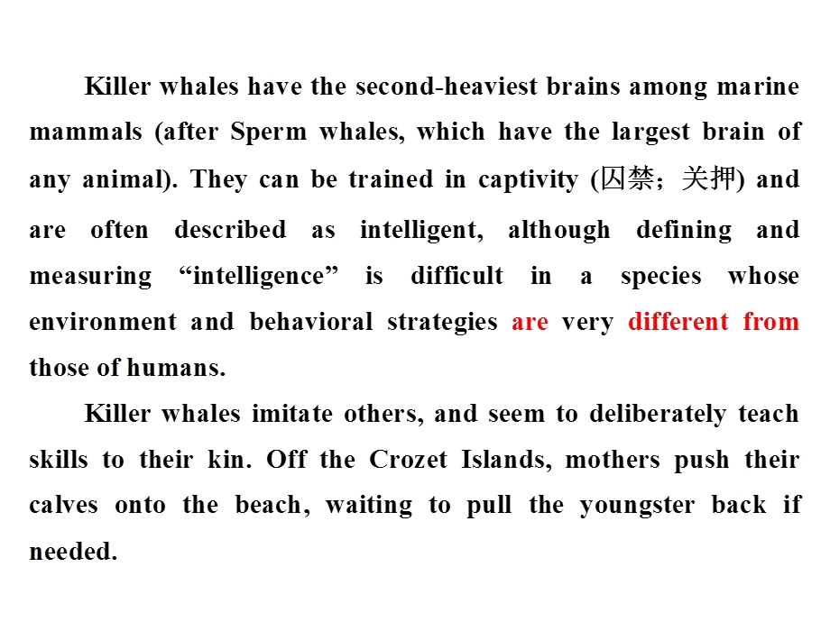 2019英语新一线同步北师大必修三课件：UNIT 7 SECTION Ⅰ WARM-UP & LESSON 1 — PRE-READING .ppt_第2页