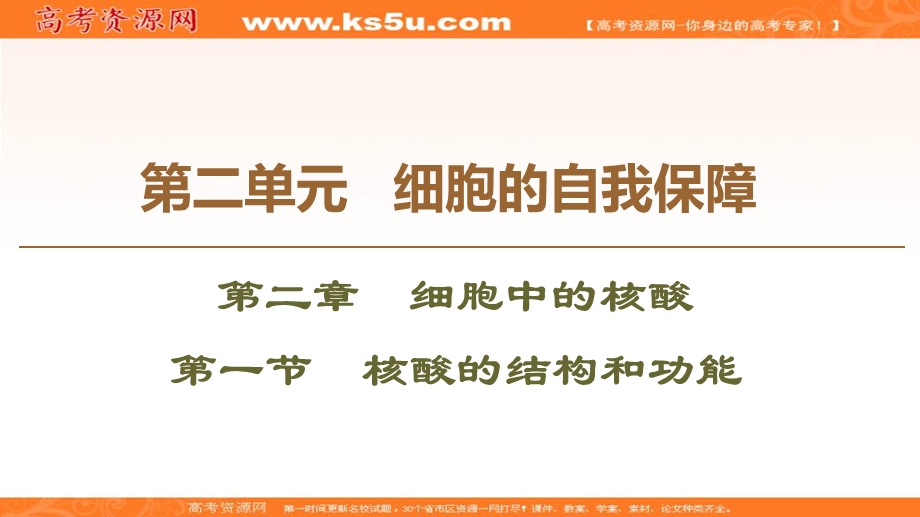 2019-2020学年中图版生物必修一课件：第2单元 第2章 第1节　核酸的结构和功能 .ppt_第1页