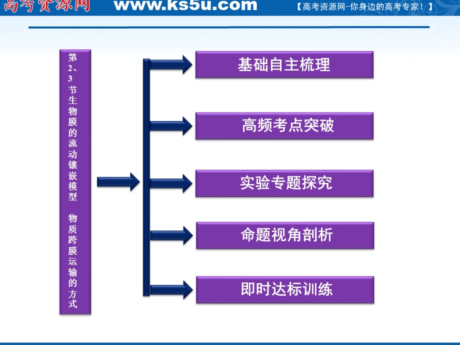 2012优化方案高三生物一轮复习课件：必修1第4章第2、3节生物膜的流动镶嵌模型物质跨膜运输的方式.ppt_第2页