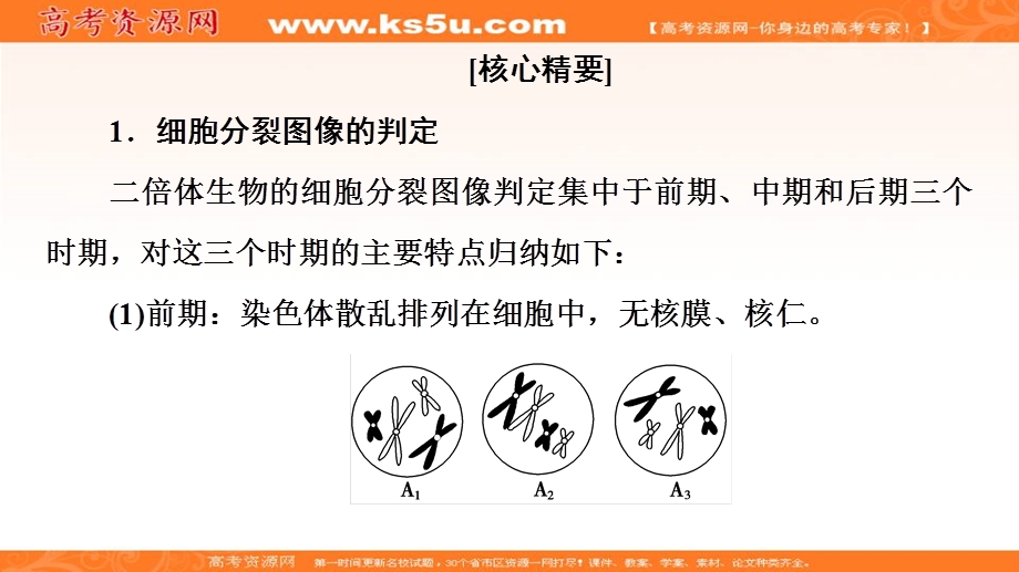 2019-2020学年中图版生物必修二课件：第1单元 素能提升课 细胞分裂图形、曲线图、柱形图辨析 .ppt_第2页