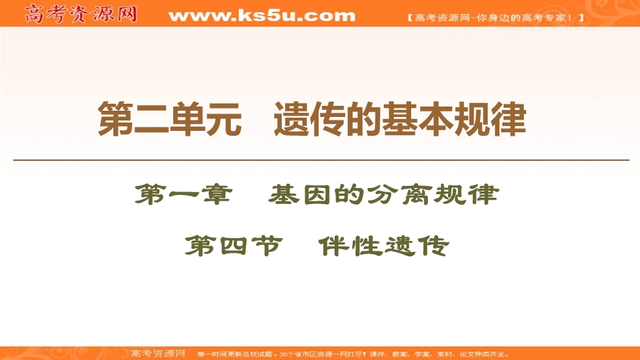 2019-2020学年中图版生物必修二课件：第2单元 第1章 第4节　伴性遗传 .ppt_第1页