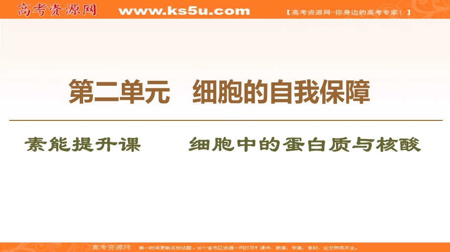 2019-2020学年中图版生物必修一课件：第2单元 素能提升课 细胞中的蛋白质与核酸 .ppt_第1页